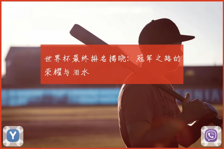世界杯最终排名揭晓:冠军之路的荣耀与泪水