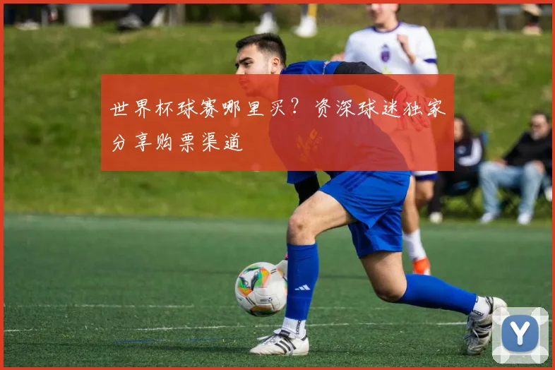 世界杯球赛哪里买？资深球迷独家分享购票渠道