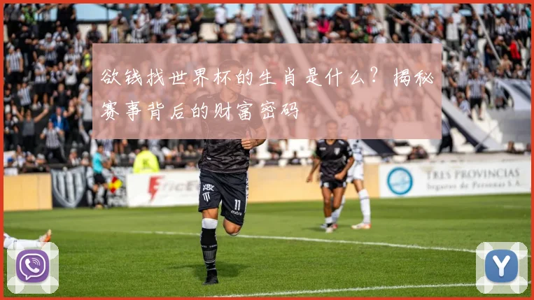 欲钱找世界杯的生肖是什么？揭秘赛事背后的财富密码