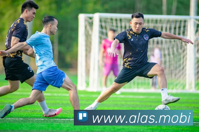 开云在线官网登录入口APP 体育赛事宣传图